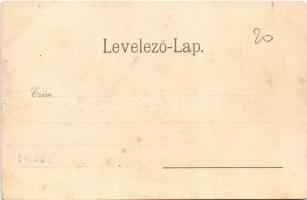 Szatmárnémeti, Szatmár, Satu Mare; Új vigadó és szálloda. Lövy M. kiadása / hotel (r)