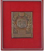 1966. "KSI - 1966 eredményeiért Krekács Péternek" Br plakett a dobozába erősítve (55x68mm) T:1-