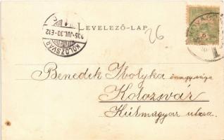 1905 Kovászna, Covasna; Sétatér. Bogdán F. fényképész / promenade, road