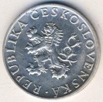Csehszlovákia 1955. 10K Ag "10. függetlenségi évforduló" T:2