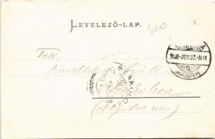 1908 Oravicabánya, Oravica, Oravita; Kneipp-féle gyógyintézet. Weisz Félix kiadása / Kneipp'sch...