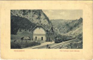 1914 Petrozsény, Petrosani; Boli-barlangi vasútállomás, gőzmozdony, vonat, hajtány, vasutasok, létra. W. L. Bp. 5406. / Pestera Bolii railway station, Bolia cave, railwaymen, locomotive, train, handcar, ladder (r)