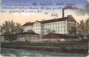 1915 Temesvár, Timisoara; Erzsébet gőzmalom / steam mill (EK)