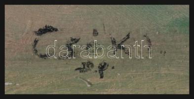 Csók I jelzéssel: Táj. Olaj, karton, kisebb felületi sérülésekkel. 24x34 cm