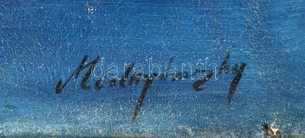 Mednyánszky jelzéssel: Hegyvidéki táj. Olaj, vászon. 70x100 cm