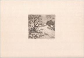 Weisz Zsuzsa (1925-2017): Vízparti táj. Rézkarc, papír, jelzett, 12,5×13,5 cm