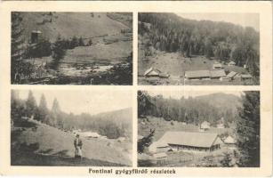 1915 Fontina-gyógyfürdő (Máramaros, Borsa), részletek / spa (EK)