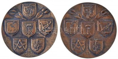 Búza Barna (1910-2010) ~1970. "Budapest Főváros Tanácsa Művészeti Díja" öntött Br plakett ...