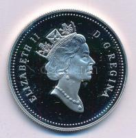 Kanada 1991. 1$ Ag "S.S. Frontenac" T:PP
Canada 1991. 1 Dollar Ag "S.S. Frontenac&qu...