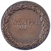 ~1980. "Jászai Mari-díj" Br díjérem jelzés (77mm) T:1 Hungary ~1980. "Mari Jászai Awa...