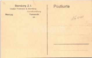 Temesvár, Timisoara; Sternberg Z.J. régiségek, műtárgyak és perzsa szőnyegek üzlete, reklám / shop