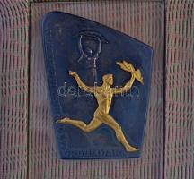 9db vegyes sportérem, ~1980. "Aranyjelvényesek az Olimpiára / A KISZ Központi Bizottsága - 0438...