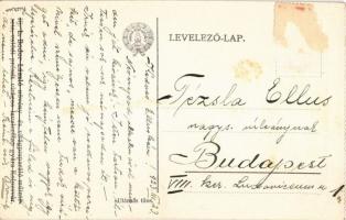 1923 Kolozsvár, Cluj; Erdélyi Kárpát Egyesület kiadása II. sorozat 1. csoport. Kerti szegfű, élővirá...