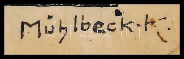 cca 1896 Mühlbeck Károly (1869-1943): Pozsony (Felvidék) látképe. Tus, pauszpapír, jelzett, kartonra...