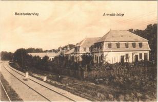 Balatonberény, Armuth telep, vasúti sín