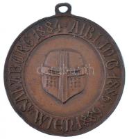 1889. Thury József turkológus ausztriai útjáról készült Br emlékérem füllel "Salzburg 1884, Aib...