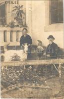 1918 Eperjes, Presov; családi ház kertje kecskével, kutyával és kerti törpékkel / family house, garden with goat, dog and garden gnomes. photo (EB)