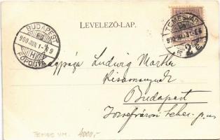 1900 Temesvár, Timisoara; Gyárváros, Kossuth tér, Brüder Kohn üzlete / Fabrik, Kossuth-Platz / squar...