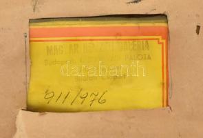 Glatz jelzéssel: Női portré. Olaj, vászon. Hátoldalán Magyar Nemzeti Galéria 911/976 sz. bírálati cí...