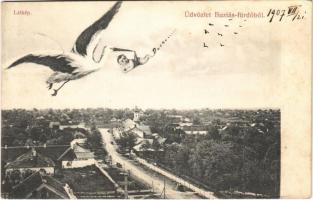 1907 Buziás-fürdő, Baile Buzias; látkép. Montázs gólyával és kisbabával. Nosek Gusztáv kiadása / general view. Montage with stork and baby (EB)