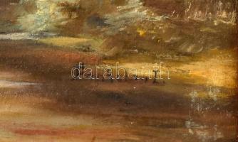 Olvashatatlan jelzéssel: Vízimalom. Olaj, vászon, fa keretben. 34×48 cm