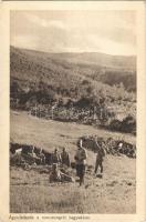 Ágyufedezék a montenegrói hegyekben. Érdekes Újság kiadása / WWI K.u.K. Hungarian military, cannon shelter in the Montenegrin mountains