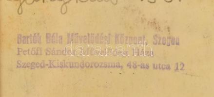 Kolompár László László (1980-): Őszi fák. Olaj, papír, hátoldalán jelzett és Bartók Béla Művelődési ...