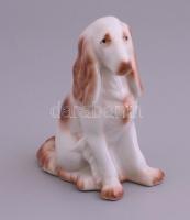 Hollóházi porcelán kutya, kézzel festett, jelzett, apró kopásokkal, m: 14 cm
