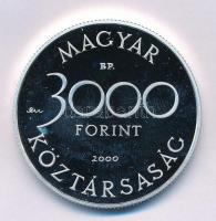 2000. 3000Ft Ag "Veszélyeztetett állatvilág - hód" kapszulában T:PP 
Adamo EM165