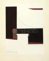 Mark (Márkus), Anna (1928-): Konstruktivista kompozíció, 1990. Szitanyomat, papír, jelzett, E.A. művészpéldány. 46x34 cm