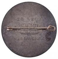 Német Harmadik Birodalom 1939. "1939. Május 1. - Ostmark, Altreich, Sudentenland" fém prop...