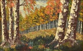 Jelzés nélkül: Őszi erdő. Olaj, karton. 26x40,5 cm