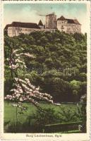1931 Léka, Lockenhaus; vár / Schloss / castle (EK)