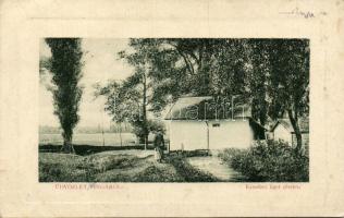 Vinga Erzsébet-liget