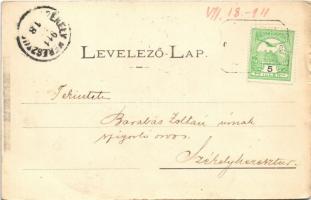 1911 Árkos, Sepsiárkos, Arcus; látkép / general view (kis szakadás / small tear)