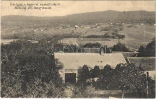 1939 Bozsok, nyaralóhely és szőlőhegy (fa)