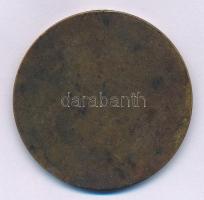 Zsákodi Csiszér János (1883-1953) 1928. "Magyar Anyák Nemzeti Ünnepe" Br emlékérem (40mm) ...