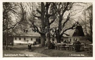 Graz, Plesch turist house