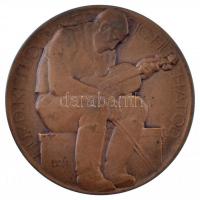 Berán Lajos (1882-1943) 1914. "Vörösmarty Mihály 1800-1855 / Húzd, ki tudja meddig húzhatod&quo...