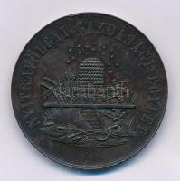 1874. Nyitravölgyi Gazdasági Egylet / 1874 kétoldalas vert Br emlékérem (37mm) T:1-,2