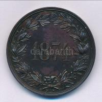 1874. "Nyitravölgyi Gazdasági Egylet / 1874" kétoldalas vert Br emlékérem (37mm) T:1-,2