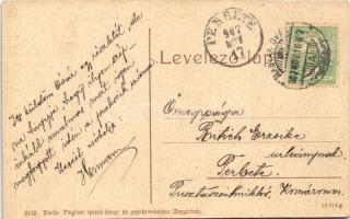 1907 Magyaróvár, Mosonmagyaróvár; Lajta vize a kávéházzal, híd. W. L. (?) 2172.  Pingitzer Ignác kia...