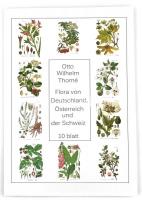 Otto Wilhelm Thomé: Flora von Deutschland, Österreich und der Schweiz. 10 poszter illusztrált papírmappában, modern nyomat, 46x32 cm