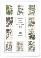 Maurice Pillard Verneuil: Encylopédia de la plante, 10 poszter, modern nyomat, 46x32 cm