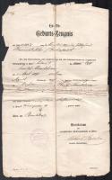 1917 Bécsi izraelita hitközség, születési anyakönyvi kivonat, benne Budapest említésével, sérült, szakadásokkal