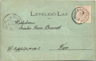 1899 (Vorläufer) Marosvásárhely, Targu Mures; este. Holbach E. kiadása / night