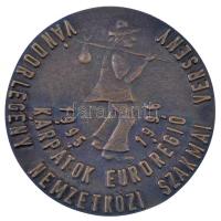 1996. "Vándorlegény Nemzetközi Szakmai Verseny - Kárpátok Eurorégió 1995-1996 / Vásárosnamény, Tiszavasvár, Nyíregyháza, Kisvárda, Mátészalka, Baktalórántháza" kétoldalas, öntött Br emlékérem (70mm) T:1-