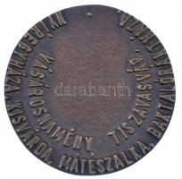 1996. "Vándorlegény Nemzetközi Szakmai Verseny - Kárpátok Eurorégió 1995-1996 / Vásárosnamény, ...