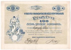 Buziásfürdő 1910. Buziási Takarékpénztár Részvénytársaság részvénye 100K-ról, szárazpecséttel, szelvényekkel T:II