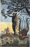 Menura Superba / Polish Art Nouveau golden art postcard. Anczyc Sylwety 17. s: St. Eljasz Radzikowski